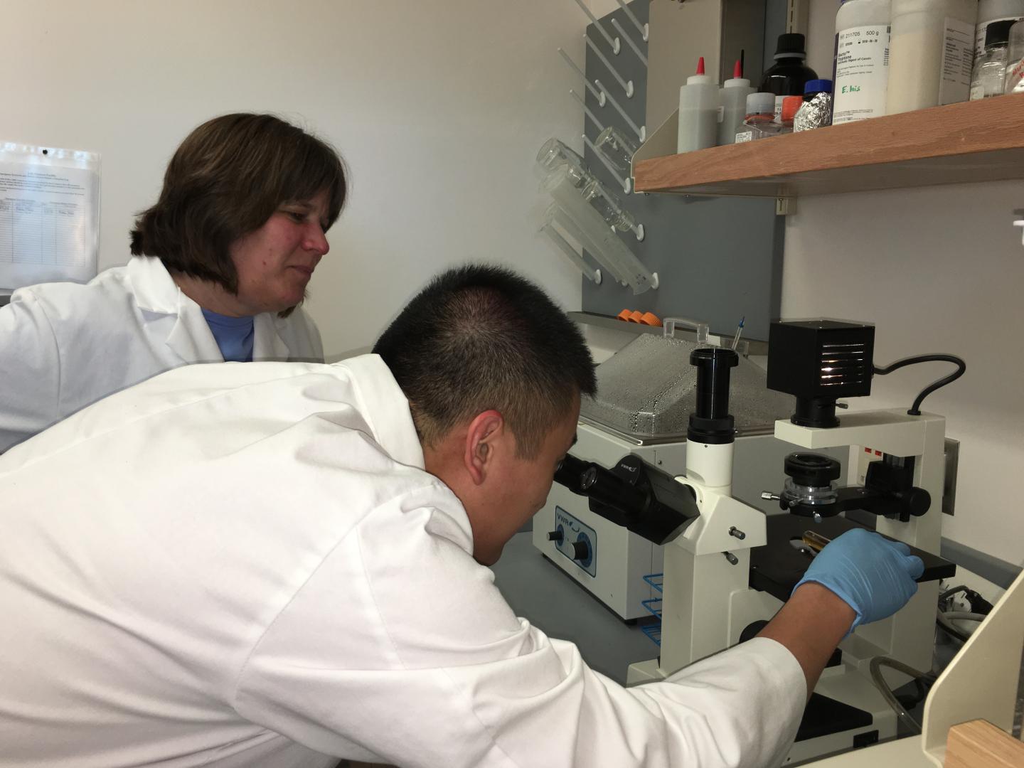 Cheryl-Ingram Smith, Clemson University