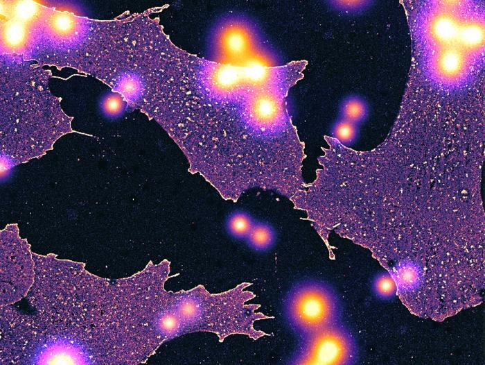 Artistic view of individually resolved glycans in front of whole cells