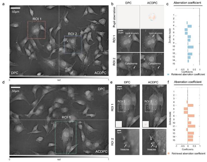 Experimental results of DPC and ACDPC on NIH 3T3 cells