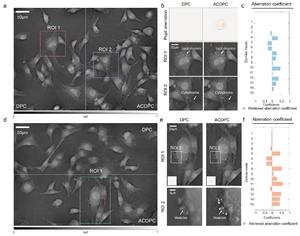 Experimental results of DPC and ACDPC on NIH 3T3 cells