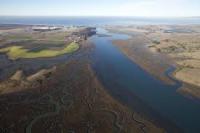 An American Estuary