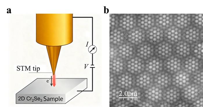 Doping induces charge density wave in two-dimensional semiconductor