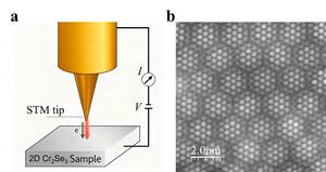 Doping induces charge density wave in two-dimensional semiconductor