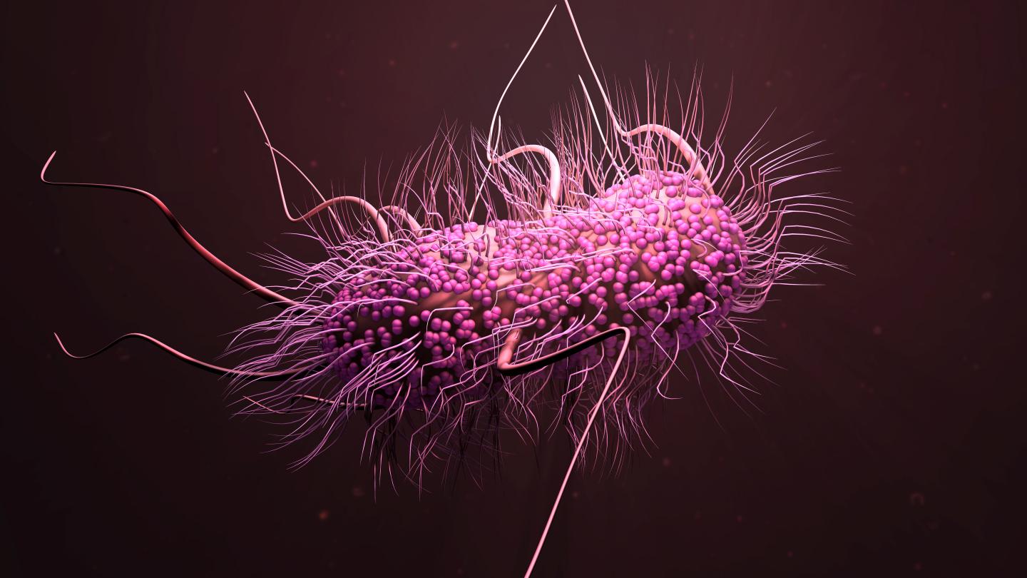 Fighting Deadly Drug Resistant Bacteria in Intestines with New Antibiotic