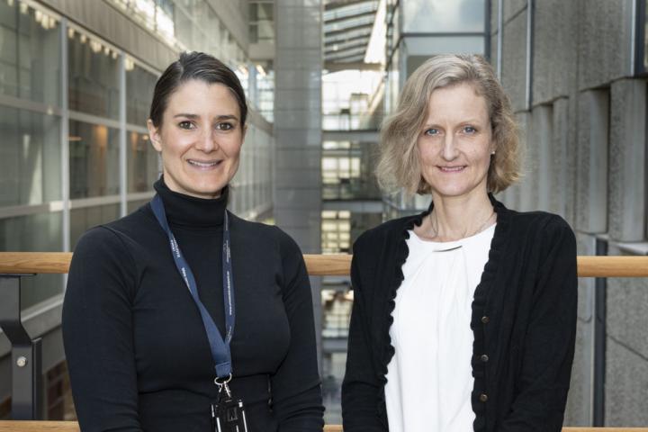 Photo of Researchers