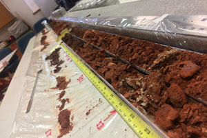 Soil core sample
