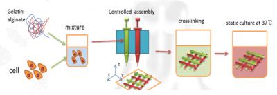 3-D Cancer Tumor Printing Process