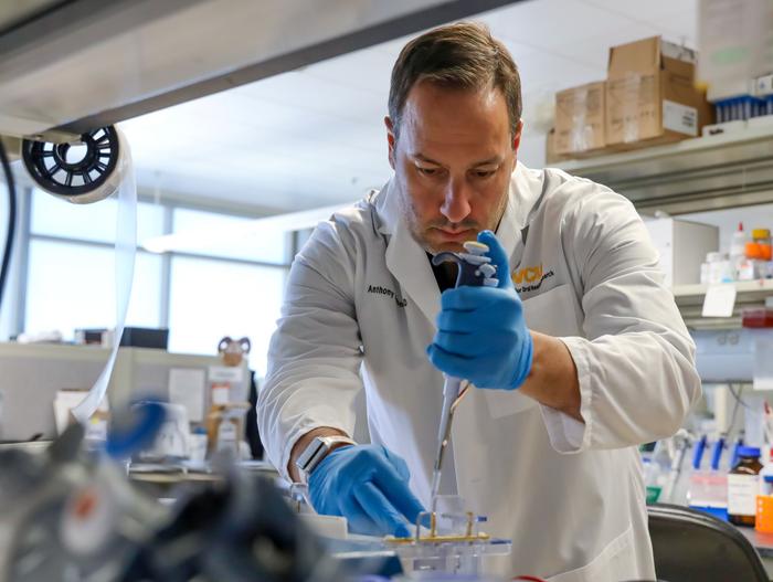Dr. Anthony Faber