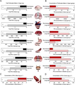 [Figure 2] Distribution of Fine particulate matter in Organs and the Circulatory System: Comparison of Long-mild Exposure and Short-intense Exposure