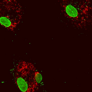 Science image