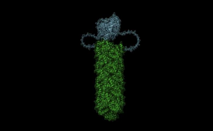 Death Fold Domains