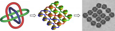 Can You Tie It in a Knot? Knotting Particle Defect Lines (6 of 8)