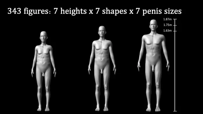 Human penis size influences female attraction and male assessment of rivals