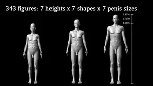 Human penis size influences female attraction and male assessment of rivals