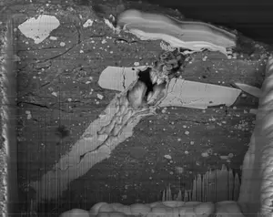 SEM image