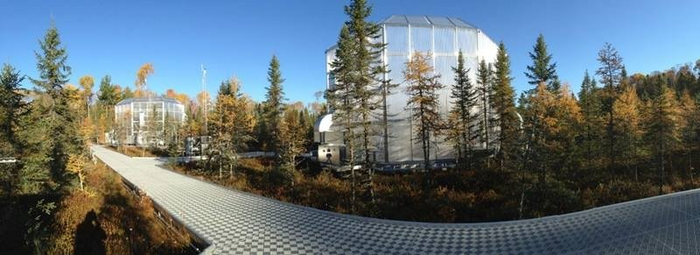 Warming Strongly Increases Nutrient Availability in a Nutrient-Limited Bog