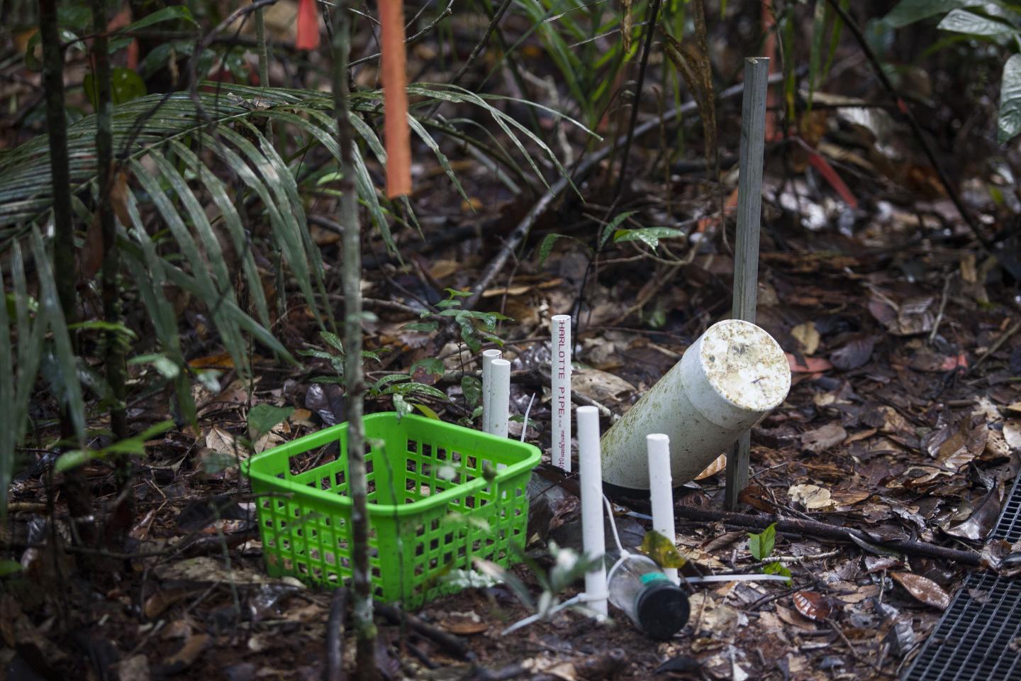 Mini Rhizotron System