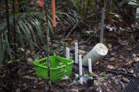 Mini Rhizotron System