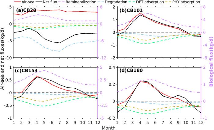 Time series of source and fate fluxes of dissolved PCBs in the seawater.