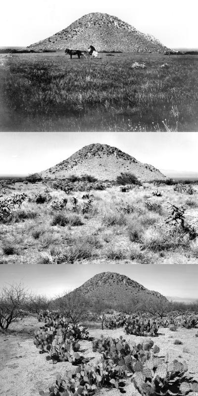 Watching Landscapes Change