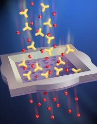 Membrane Sorts Molecules