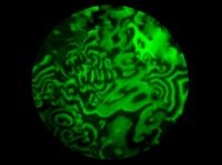 Wave Pattern