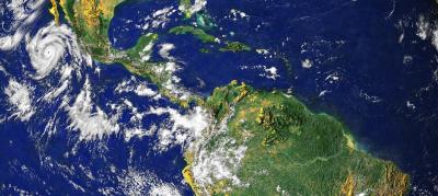 Bridge Species Lead Expansion from Tropics