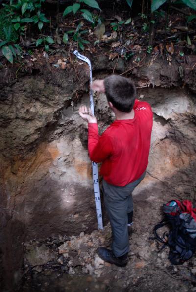 Soil Profile