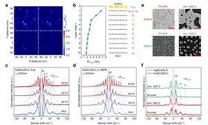 Figure | Electric-field-modulated interlayer bond polarizability model for plasmon-enhanced LB modes in AuNCs/NLG.
