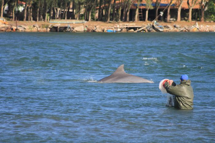 Artisanal fishers and dolphins