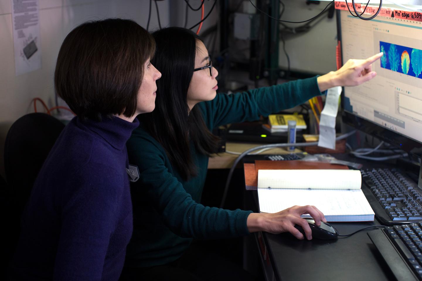 Researchers Study X-ray Beam Line