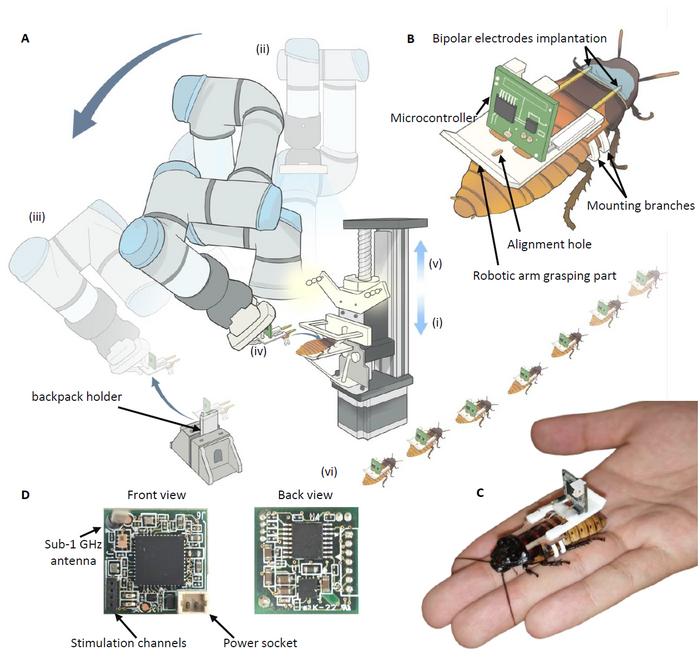 Prototype system of a cyborg insect automated factory line