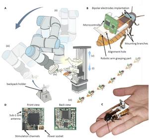 Prototype system of a cyborg insect automated factory line