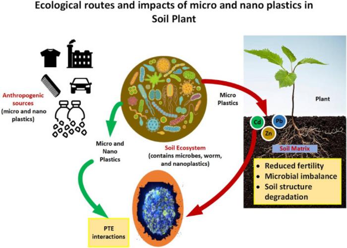 Soil toxicity