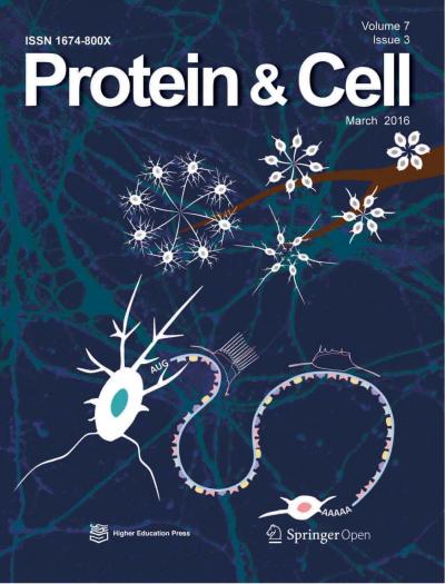 <em>Protein & Cell</em>