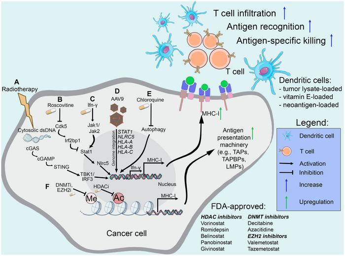Re-expression of MHC-I to treat CNS cancers