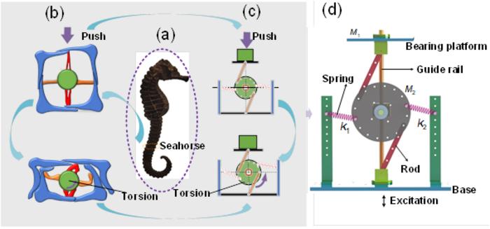 Figure 1: Results of the bio-inspired topology.