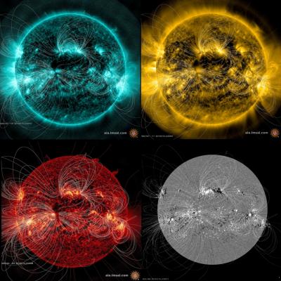 Sun's Magnetic Field Lines Visualized