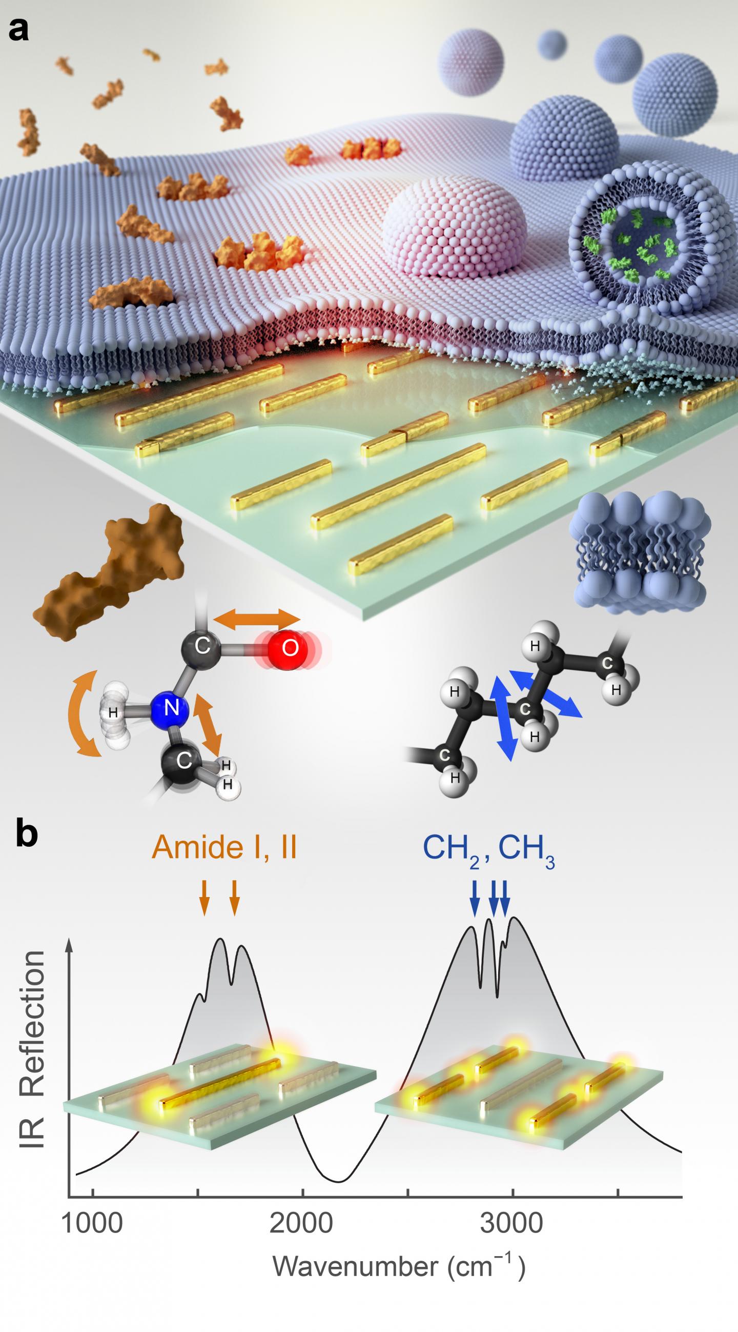 Nanophotonic Label-Free Biosensor for Chemically Distinguishing Multiple Analytes in Biological Samp