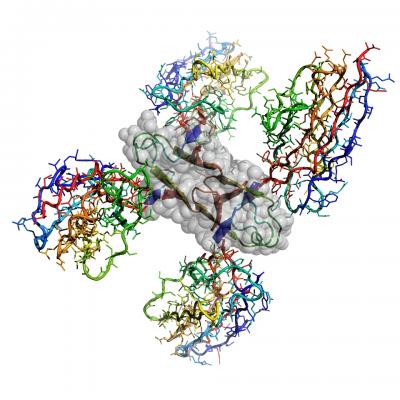 Atomic Stucture