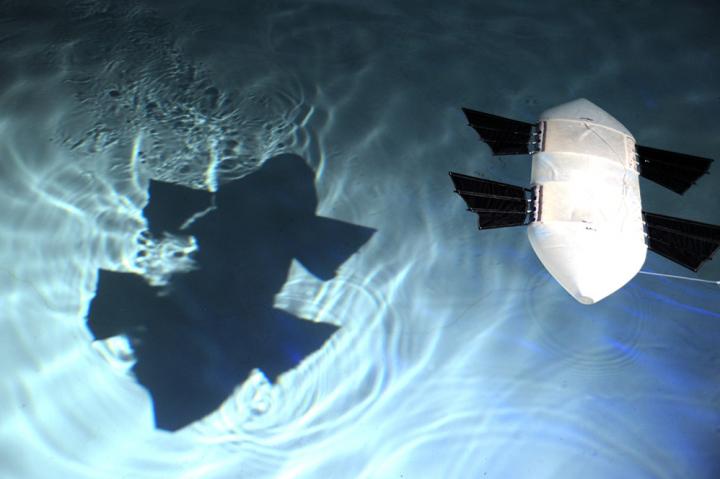 Wrasse-inspired Agile Near-shore Deformable-fin Automaton (WANDA) (2 of 2)