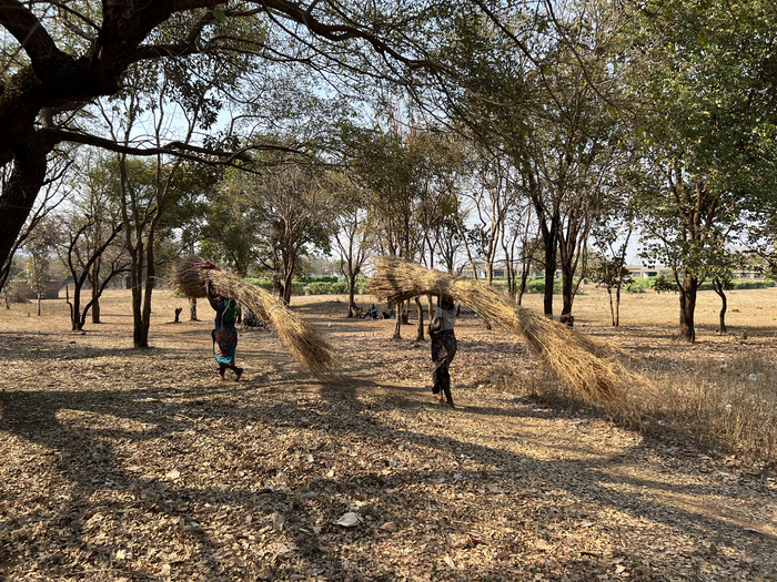 Smallholders Zambia