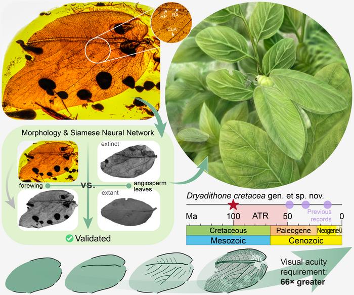Ancient insect evolved to mimic flowering plant leaves