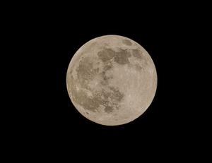 The moon