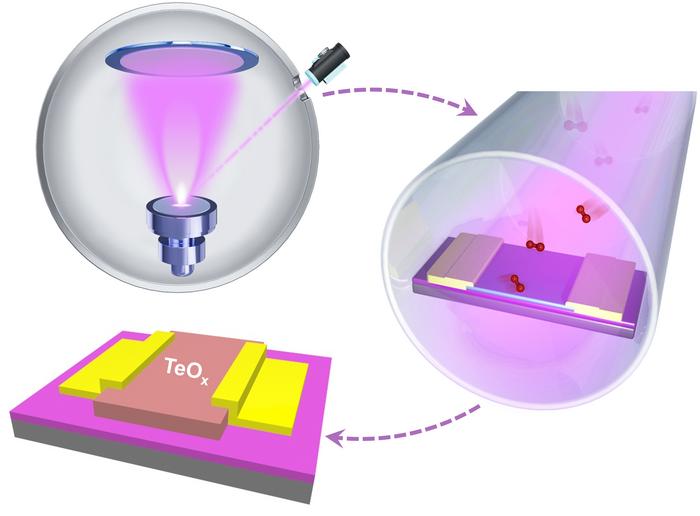 Wafer-scale growth of ultrathin amorphous tellurium oxide via pulsed laser deposition for p-channel Transistors