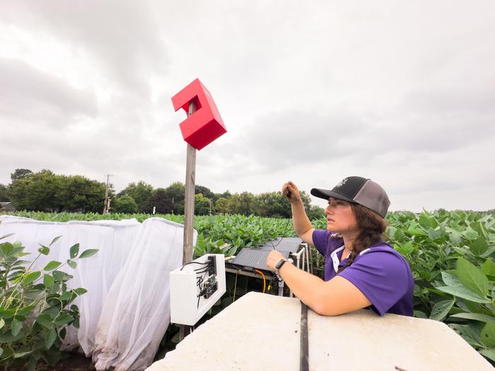Emily Sur with Insect Eavesdropper