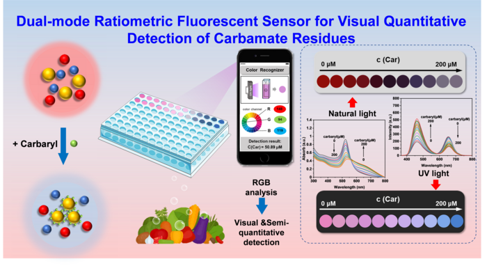 New Dual Mode Ratio Fluorescence Sensing System Enables Rapid In Situ Detection of Carbaryl Residues