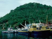 Purse Seine Fishing Fleet on Lake Tanganyika