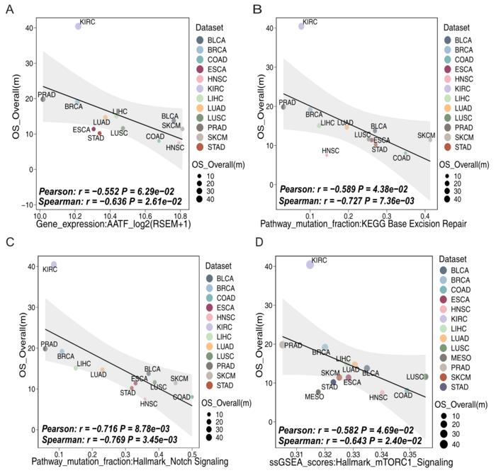 Association analysis between ICI efficacy data and multi-omics data (2)