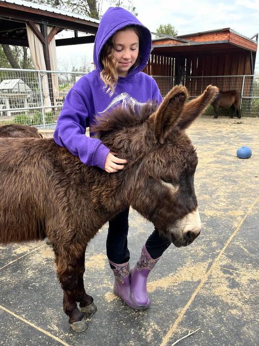girl scratches neck of mini donkey
